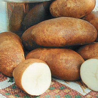 Russet Burbank Potatoes Thumbnail
